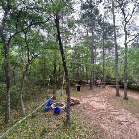 2 Bdrm Treehouse Hideout- Lake Conroe With Boat Ramp Montgomery Esterno foto