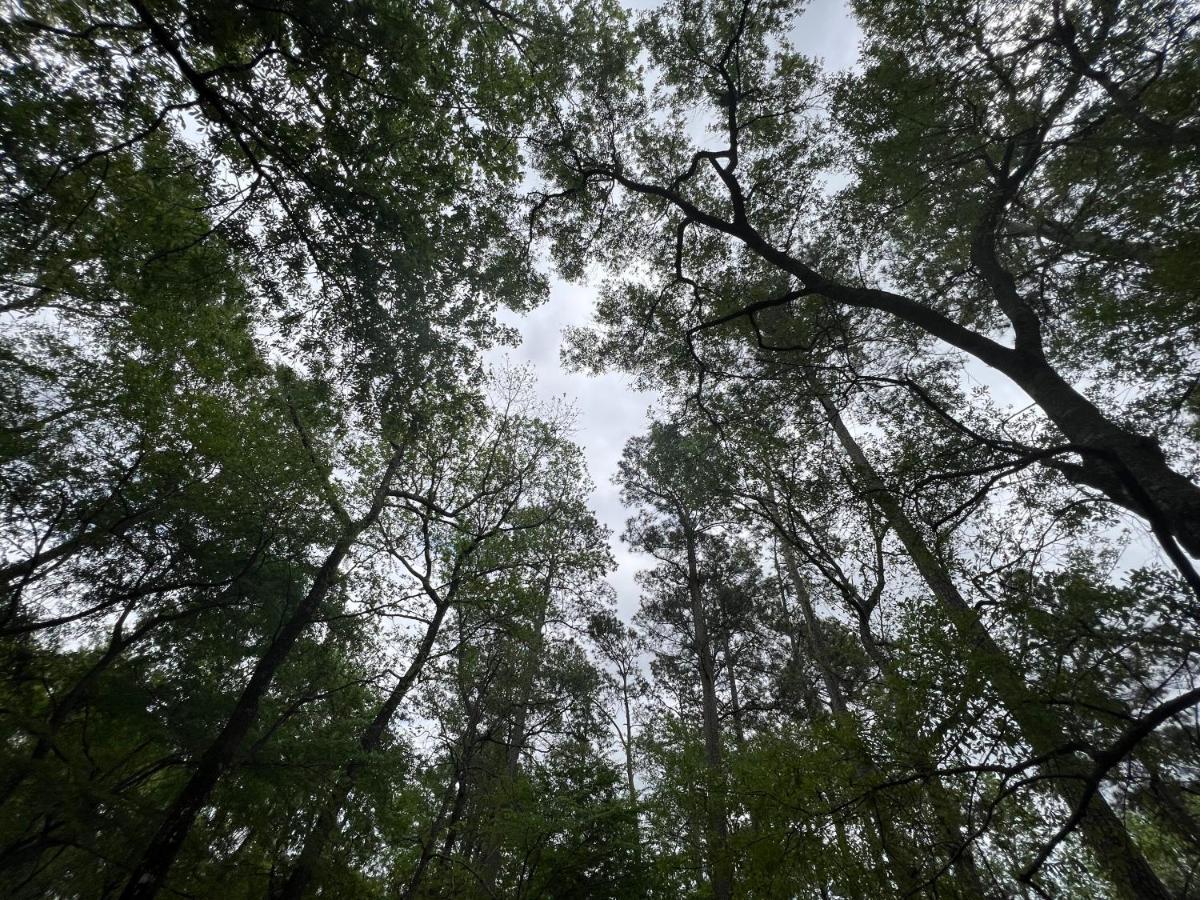 2 Bdrm Treehouse Hideout- Lake Conroe With Boat Ramp Montgomery Esterno foto